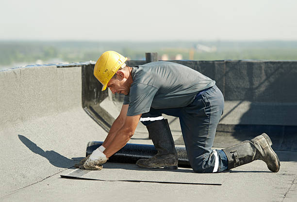 Best Insulation Maintenance and Repair in Timmonsville, SC